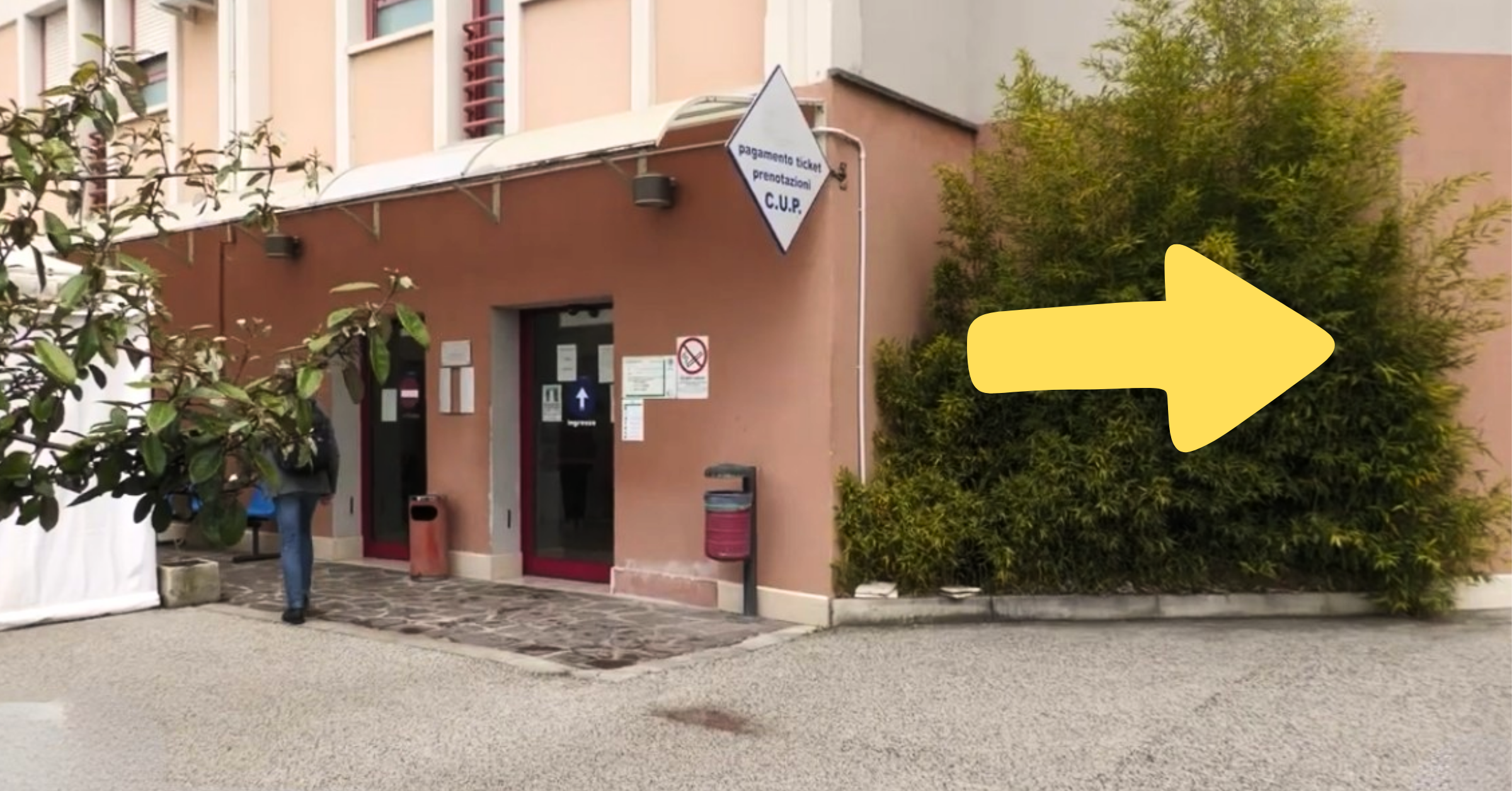 continuita assistenziale cup